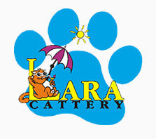 Luxury cattery for Geelong, Werribee & Melbourne